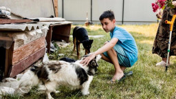 Прокуратура Донеччини розслідує бездіяльність соцслужб через покинутих дітей у Покровському районі