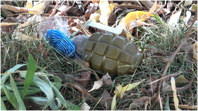В Луганске возле «налоговой инспекции» обнаружена граната Ф-1