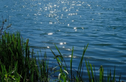 На Донеччині повернули у власність громади водойму вартістю понад 95 млн гривень