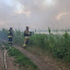 ДСНС ліквідувала чотири пожежі після обстрілів на Донеччині