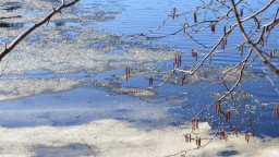 На окупованій Луганщині паводок підтопив 15 мостів та кілька доріг