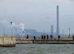 Поблизу Маріуполя масово гинуть дельфіни - Андрющенко