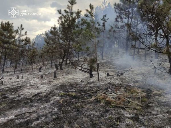 Понад тисяча пожеж сталося на Донеччині з початку року
