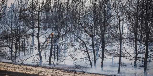 Рятувальники загасили масштабну лісову пожежу на Лиманщині Рятувальники загасили масштабну лісову пожежу на Лиманщині