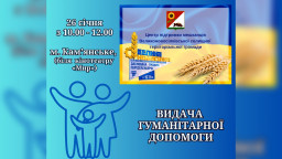 У Кам'янському нададуть гуманітарну допомогу переселенцям з Великоновосілківської громади