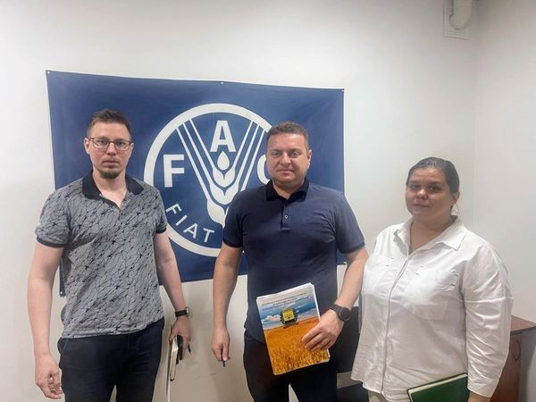 ООН через ФАО надасть підтримку аграріям Донеччини: молодняк птиці, генератори та інше