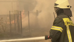 Пожежі на окупованій Луганщині: вогонь загрожує житловим та дачним районам