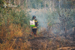 Рятувальники знешкодили вибухонебезпечні предмети на Донеччині