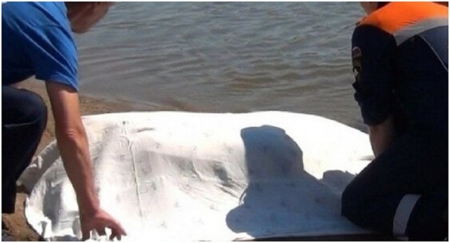 В Донецке из Кальмиусского водохранилища достали тело неизвестного мужчины