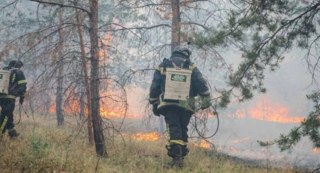 У Лимані ліквідували масштабну лісову пожежу після авіаудару У Лимані ліквідували масштабну лісову пожежу після авіаудару