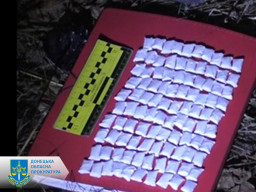 Торгував психотропними речовинами у Дружківці: зловмисника засуджено до 9 років в'язниці