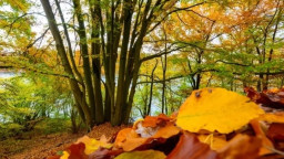 Росіяни анонсували створення "нацпарку" у Лисичанську