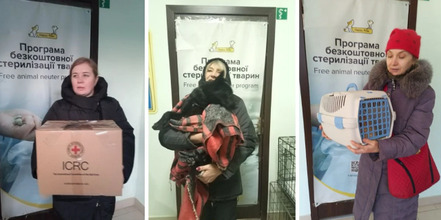Понад 200 тварин стерилізовано у Костянтинівській громаді завдяки проекту "Happy Paw"