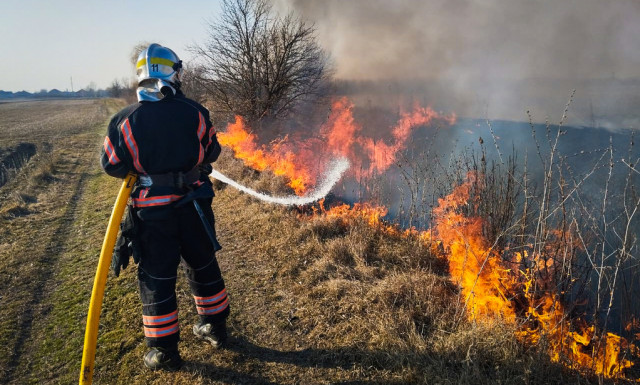 На Донеччині за добу ліквідовано сім пожеж сухостою На Донеччині за добу ліквідовано сім пожеж сухостою