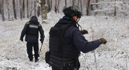 На Донеччині піротехніки ДСНС знищили 13 вибухонебезпечних предметів