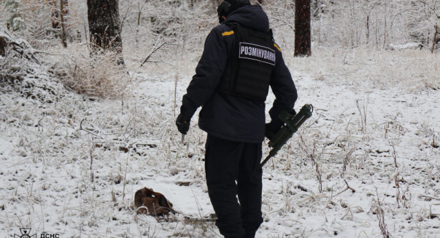 На Донеччині піротехніки знешкодили 5 вибухонебезпечних предметів за добу