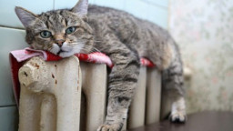 Тепло в Краматорську: з 29 жовтня розпочався опалювальний сезон