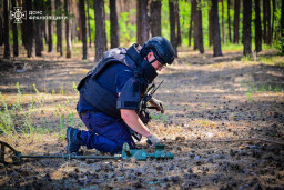 Піротехніки очистили від мін ще понад 12 гектарів Донеччини