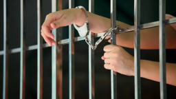 Поліція Краматорська викрила шахрайку, яка ошукала покупців котів на 27 тисяч гривень