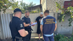 Вирубка лісу на 14,6 млн: ДБР передало до суду справу про знищення 1,8 тис дерев