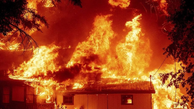 Екологічні збитки Луганщини від війни перевищили 773 млрд грн