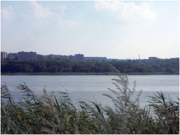 В Алчевске мужчина прыгнул с моста в воду и получил тяжелые травмы