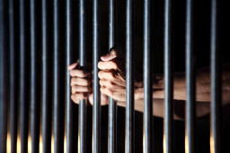 На Донеччині судитимуть педофіла за розбещення неповнолітніх та зберігання порнографії