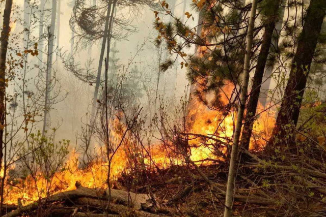 Серйозна ситуація на окупованій Луганщині: за добу виникло 17 пожеж