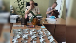 60 тис грн за фіктивні довідки: нарколог із Слов'янська отримав вісім років ув'язнення