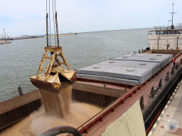 Маріуполь: окупанти експортували 7600 тонн вкраденого українського зерна до РФ