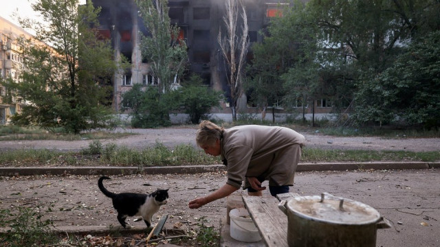 У Торецьку люди не хочуть евакуюватися, живуть у підвалах – Донецька ОВА