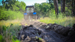 Піротехніки ДСНС активно допомагають у захисті лиманського лісу від пожеж