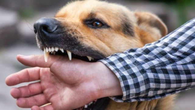 Ситуація з інфекційними захворюваннями в Дружківці погіршилася Ситуація з інфекційними захворюваннями в Дружківці погіршилася