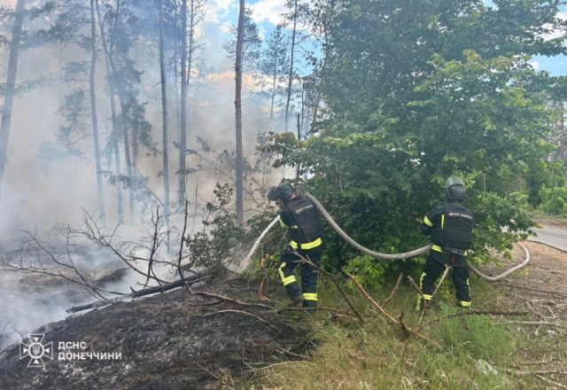 У Краматорському районі внаслідок активних бойових дій виникли пожежі у лісах