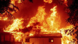 Екологічні збитки Луганщини від війни перевищили 773 млрд грн