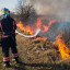 На Донеччині за добу ліквідовано сім пожеж сухостою