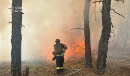 Лиманський ліс знову постраждав від бойових дій: вогонь знищив близько 570 га насаджень