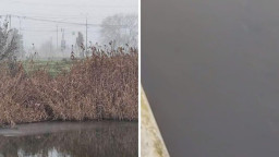 Екологічний злочин у Маріуполі: окупанти злили нафтопродукти у річку Кальчик