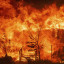 Зпочатку року на території Донецької області виникло 2716 пожеж