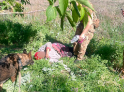 На Донеччині розшукали 82-річну пенсіонерку, яка загубилася за 10 кілометрів від лінії фронту