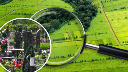 Суд виніс вирок співробітнику ДПС з окупованого Антрациту