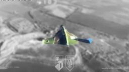 Пілоти FPV-дронів посилили захист неба над Донеччиною