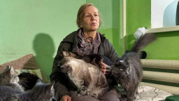 Жителька Донеччини евакуювала понад сотню тварин із Добропілля до Кіровоградщини
