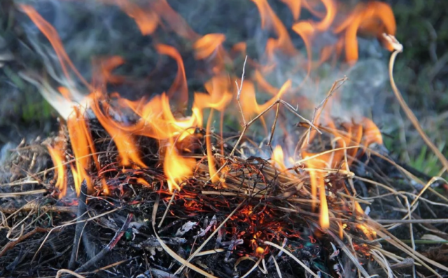 У Донецькій області оголосили про надзвичайний рівень пожежної небезпеки
