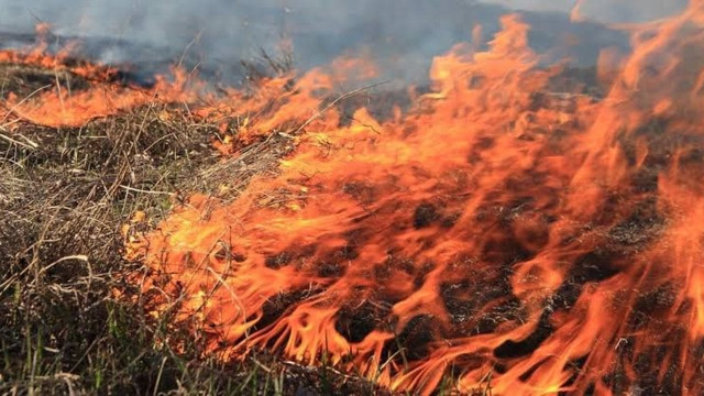 Ландшафтні пожежі на Луганщині &ndash; за добу згоріло 170 гектарів