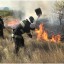 В «ДНР» и «ЛНР» случился ряд масштабных пожаров в экосистемах