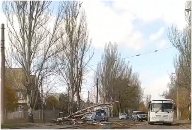 В Донецке на ул. Можайской дерево упало на легковой автомобиль