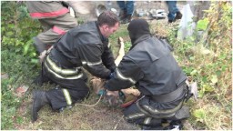 В Луганске, н.п. Долгое, Дубровский, Ореховка и Кировск при пожарах погибли люди