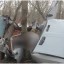 В Донецке автомобиль врезался в дерево, есть погибшие и пострадавшие