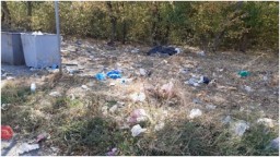 Жители Горловки страдают из-за того, что почти не вывозят мусор